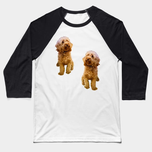 Cavapoo Cavoodle puppy pattern- cute cavalier king charles spaniel Baseball T-Shirt by Artonmytee